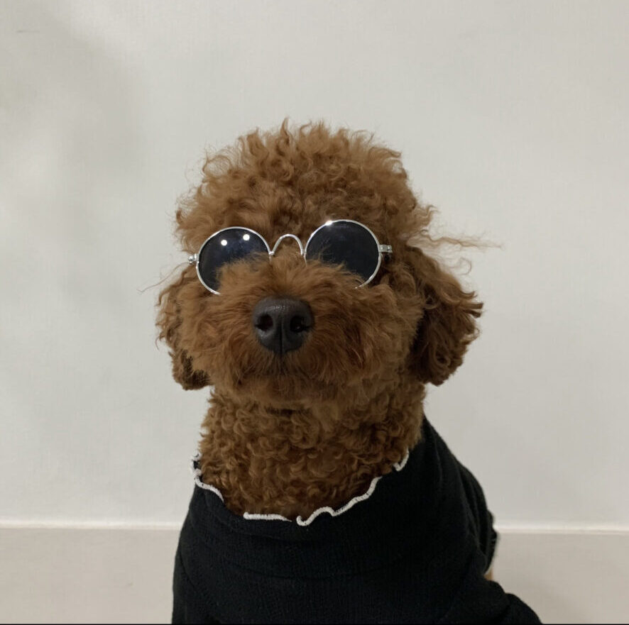  🤗호도리로그의 첫 인사